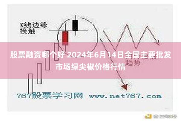 股票融资哪个好 2024年6月14日全国主要批发市场绿尖椒价格行情