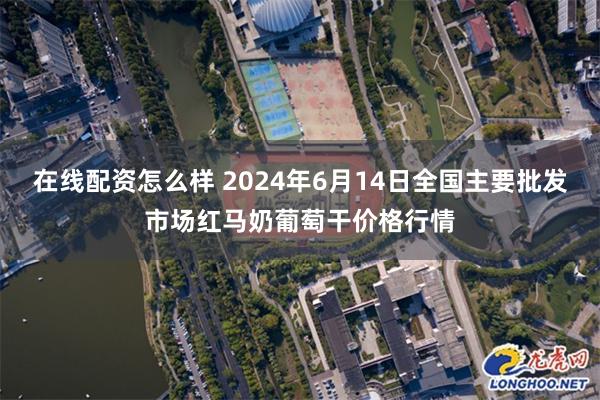 在线配资怎么样 2024年6月14日全国主要批发市场红马奶葡萄干价格行情