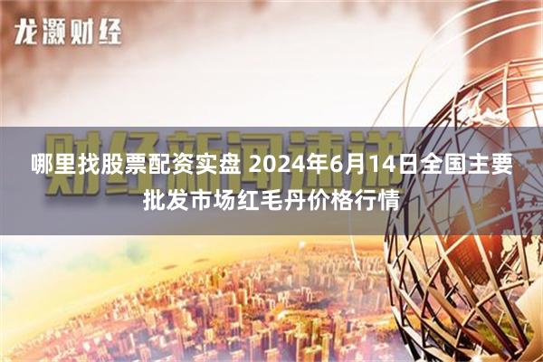 哪里找股票配资实盘 2024年6月14日全国主要批发市场红毛丹价格行情