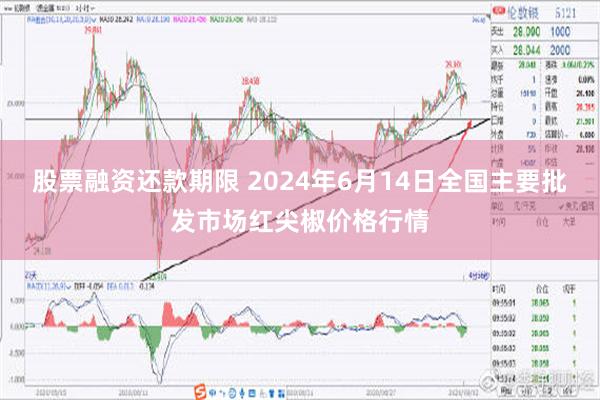 股票融资还款期限 2024年6月14日全国主要批发市场红尖椒价格行情