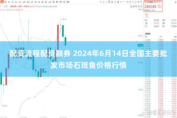 配资流程配资融券 2024年6月14日全国主要批发市场石斑鱼价格行情