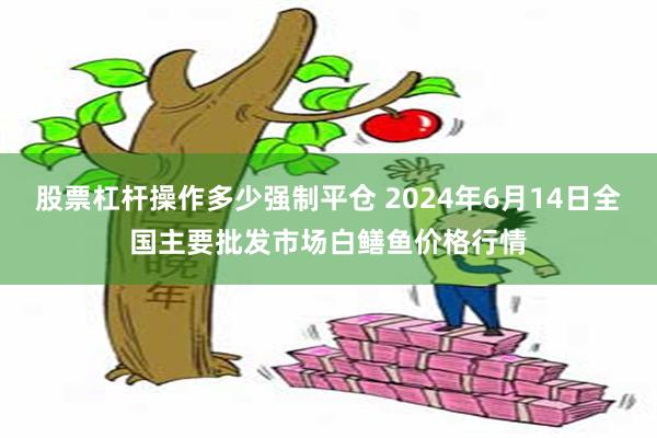 股票杠杆操作多少强制平仓 2024年6月14日全国主要批发市场白鳝鱼价格行情