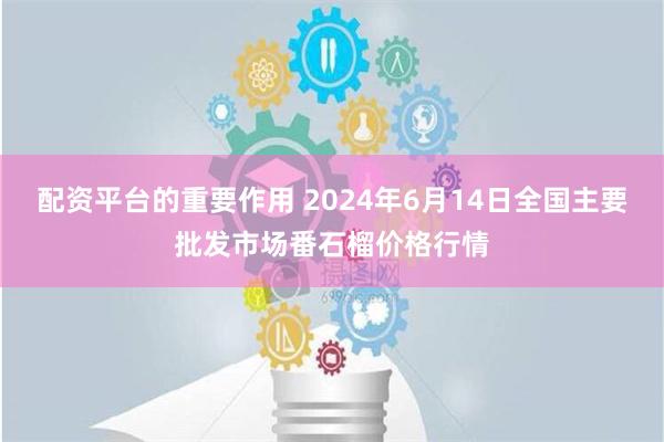 配资平台的重要作用 2024年6月14日全国主要批发市场番石榴价格行情