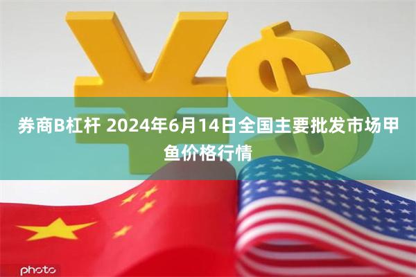 券商B杠杆 2024年6月14日全国主要批发市场甲鱼价格行情