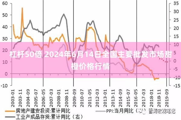 杠杆50倍 2024年6月14日全国主要批发市场甜橙价格行情