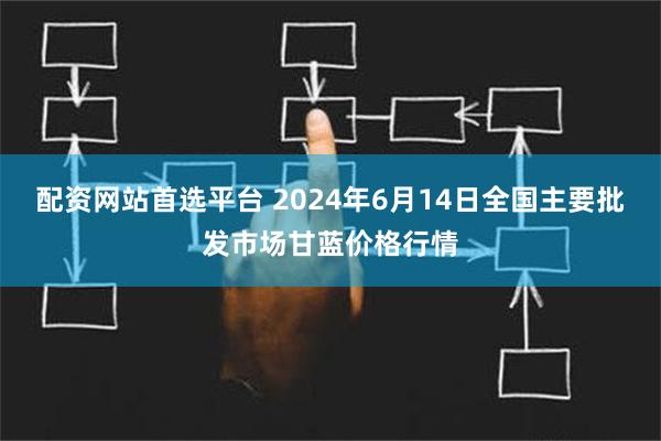 配资网站首选平台 2024年6月14日全国主要批发市场甘蓝价格行情