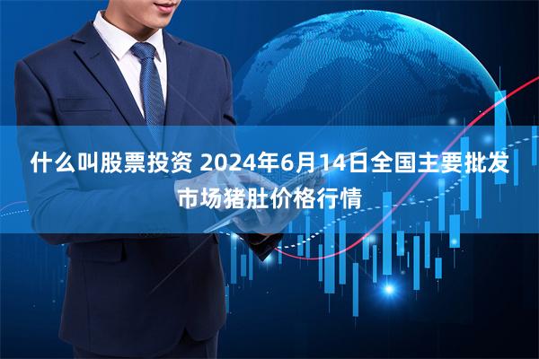 什么叫股票投资 2024年6月14日全国主要批发市场猪肚价格行情