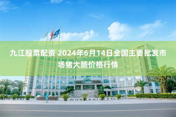 九江股票配资 2024年6月14日全国主要批发市场猪大肠价格行情