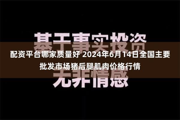 配资平台哪家质量好 2024年6月14日全国主要批发市场猪后腿肌肉价格行情