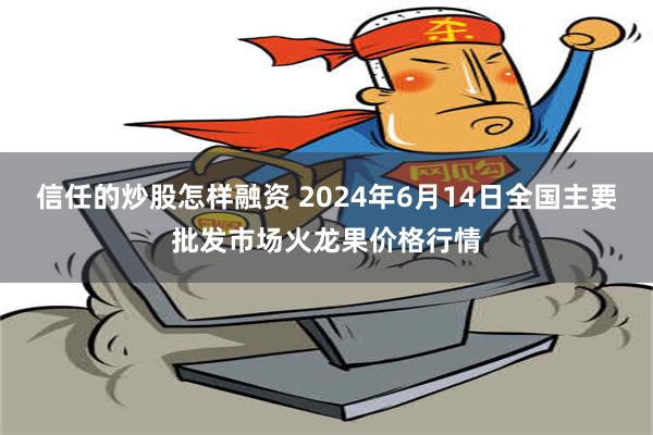 信任的炒股怎样融资 2024年6月14日全国主要批发市场火龙果价格行情