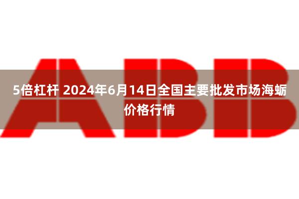 5倍杠杆 2024年6月14日全国主要批发市场海蛎价格行情