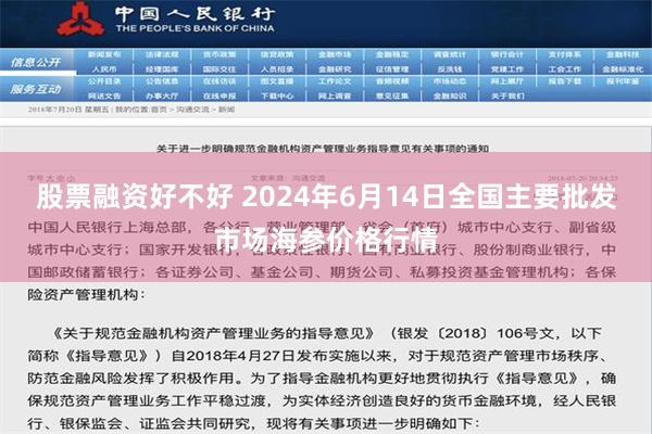 股票融资好不好 2024年6月14日全国主要批发市场海参价格行情