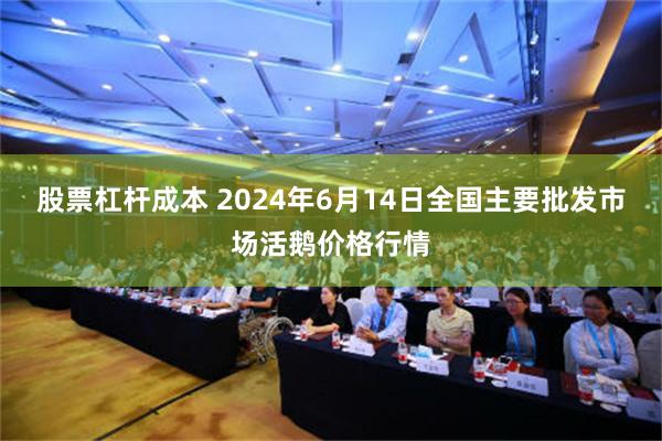 股票杠杆成本 2024年6月14日全国主要批发市场活鹅价格行情