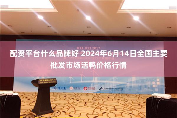 配资平台什么品牌好 2024年6月14日全国主要批发市场活鸭价格行情