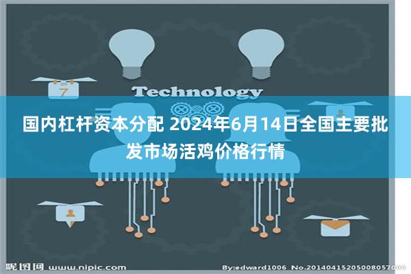 国内杠杆资本分配 2024年6月14日全国主要批发市场活鸡价格行情