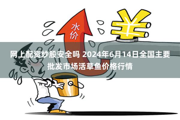 网上配资炒股安全吗 2024年6月14日全国主要批发市场活草鱼价格行情