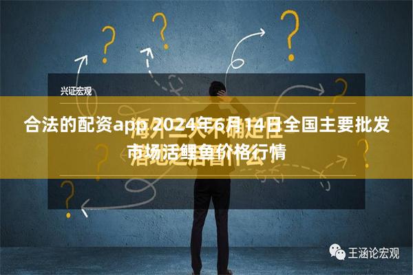 合法的配资app 2024年6月14日全国主要批发市场活鲤鱼价格行情