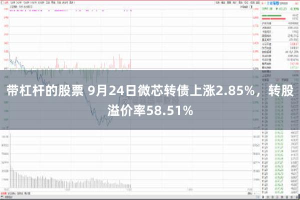 带杠杆的股票 9月24日微芯转债上涨2.85%，转股溢价率58.51%