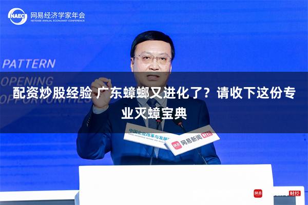 配资炒股经验 广东蟑螂又进化了？请收下这份专业灭蟑宝典