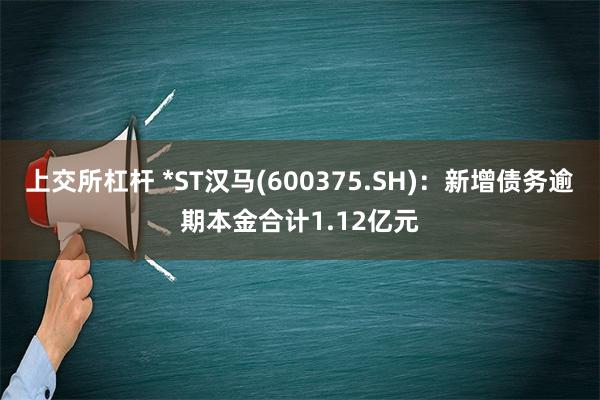 上交所杠杆 *ST汉马(600375.SH)：新增债务逾期本金合计1.12亿元