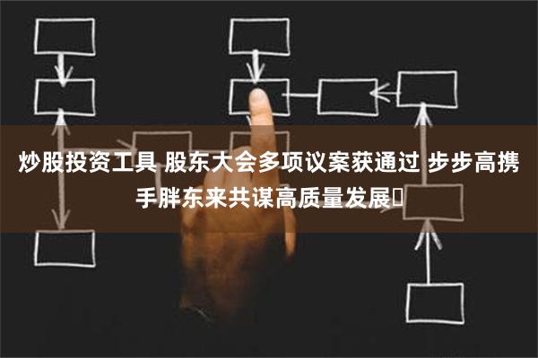 炒股投资工具 股东大会多项议案获通过 步步高携手胖东来共谋高质量发展‌