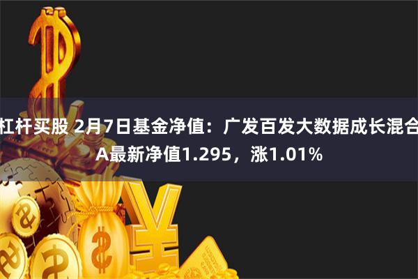 杠杆买股 2月7日基金净值：广发百发大数据成长混合A最新净值1.295，涨1.01%